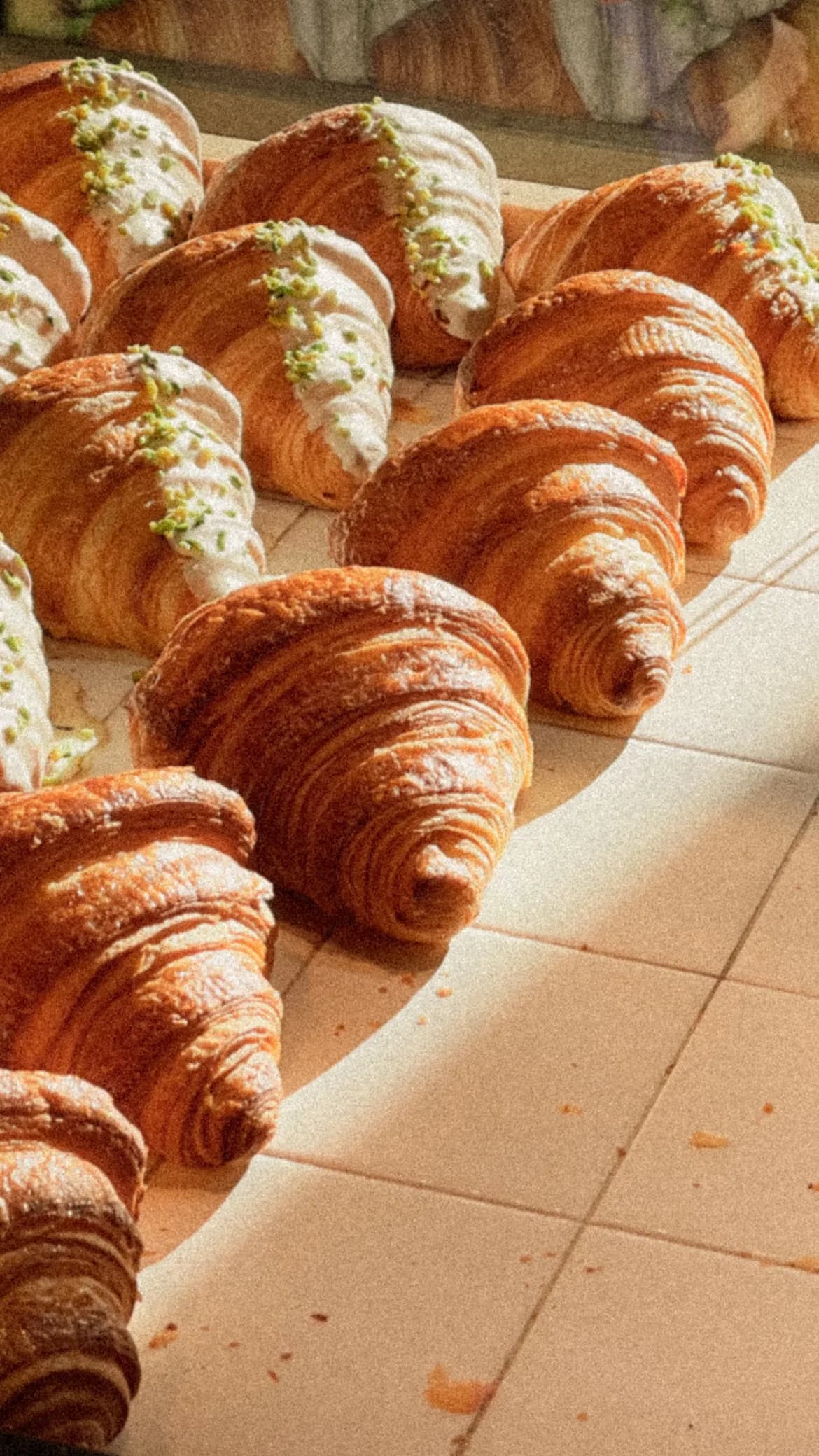 Golden croissants lined up on a sunlit bakery counter