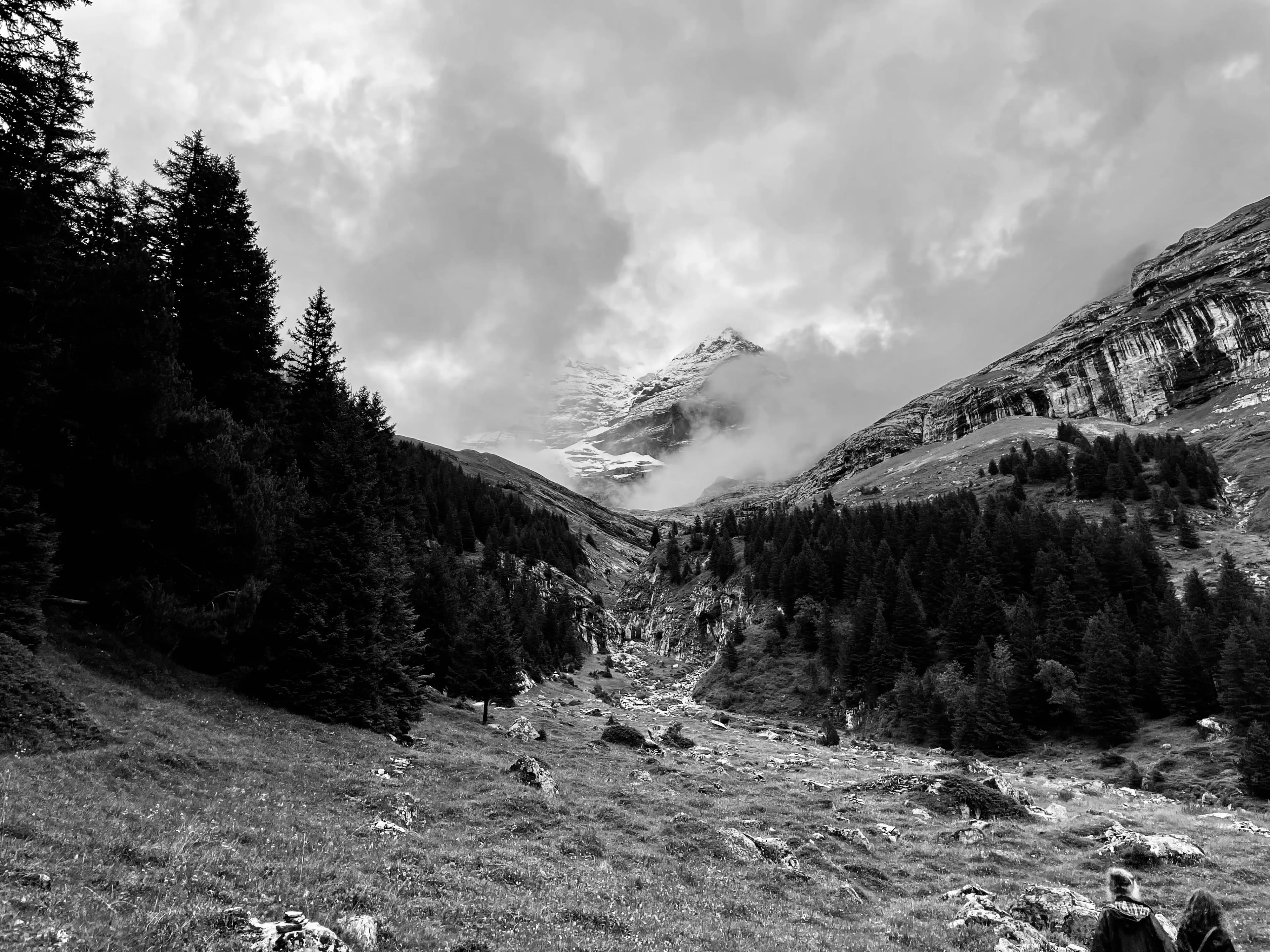 Black-and-white mountain valley with rocky slopes, conifers, and low clouds