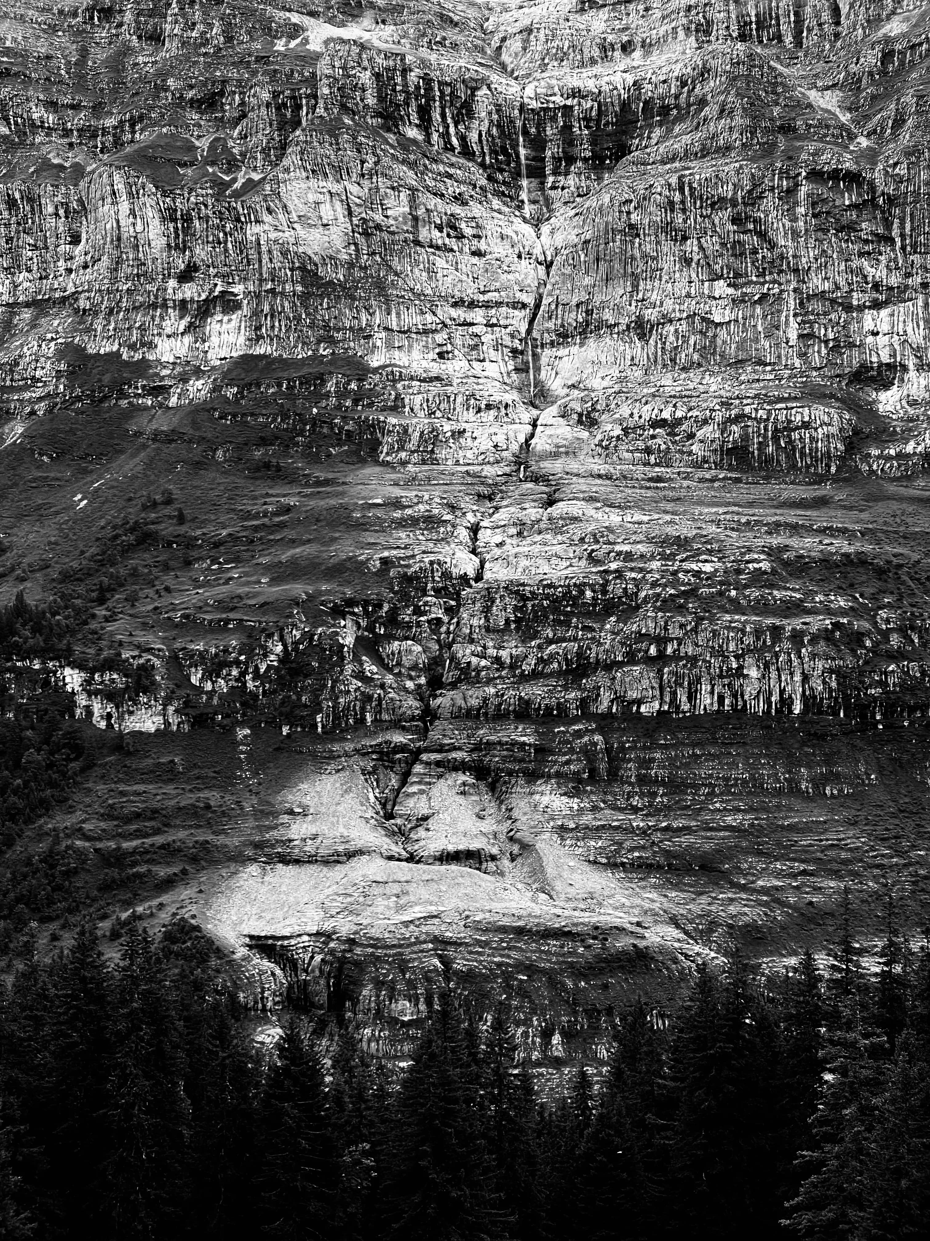 Black-and-white layered rock face above a line of conifers
